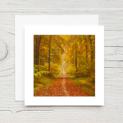 Autumn Track