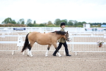 SBM_00219