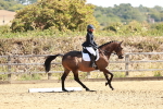 SBM_001694