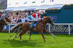 230526-Race 7-Golden Strike-7989