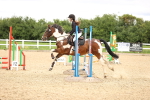 SBM_000496