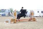 SBM_13395