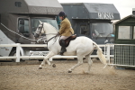 SBM_18439