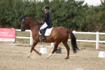 SBM_015667
