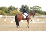 SBM_008648