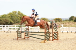 SBM_004435