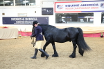 SBM_24284