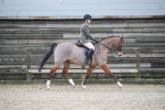 SBM_004648