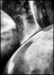 Moore Rodin  88