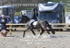 BPP_9871