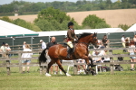 SBM_06963