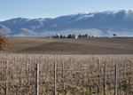 220224 San Luca to Montefalco