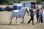 WJ6_4533