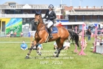 BPP_7203