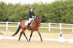 SBM_009382