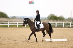 SBM_006515