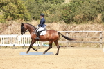 SBM_003007