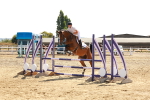 SBM_002679