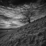 Maiden Castle Early Morning in March, Dorset (B&W)