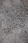 SBM_005721