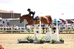 SBM_003879