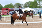 SBM_00264