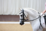 SBM_008433