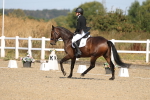 SBM_013461