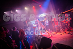 Pigsx7-65