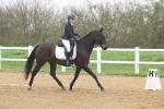 SBM_001981