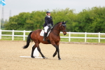 SBM_004649