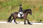 3E7A4201