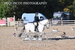 BPP_8421