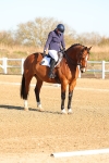 SBM_003460