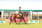 SBM_12013