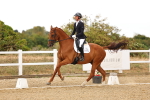 SBM_007375