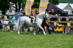 SBM_05766