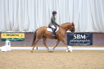 SBM_001947