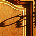 Shadow Play