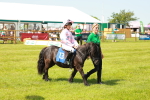 SBM_04742