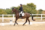 SBM_007196