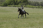 BVHT 140517  IXC -818