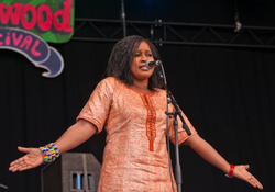 Wychwood Festival 2015 portfolio