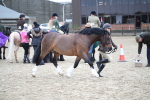 SBM_006397