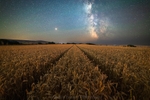 ab521 Golden wheat under the stars