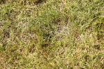SBM_05597