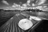 KittyHawk10-154spefBW