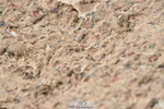 231013A-091656-00762