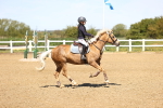 SBM_001482