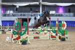 SBM_008031